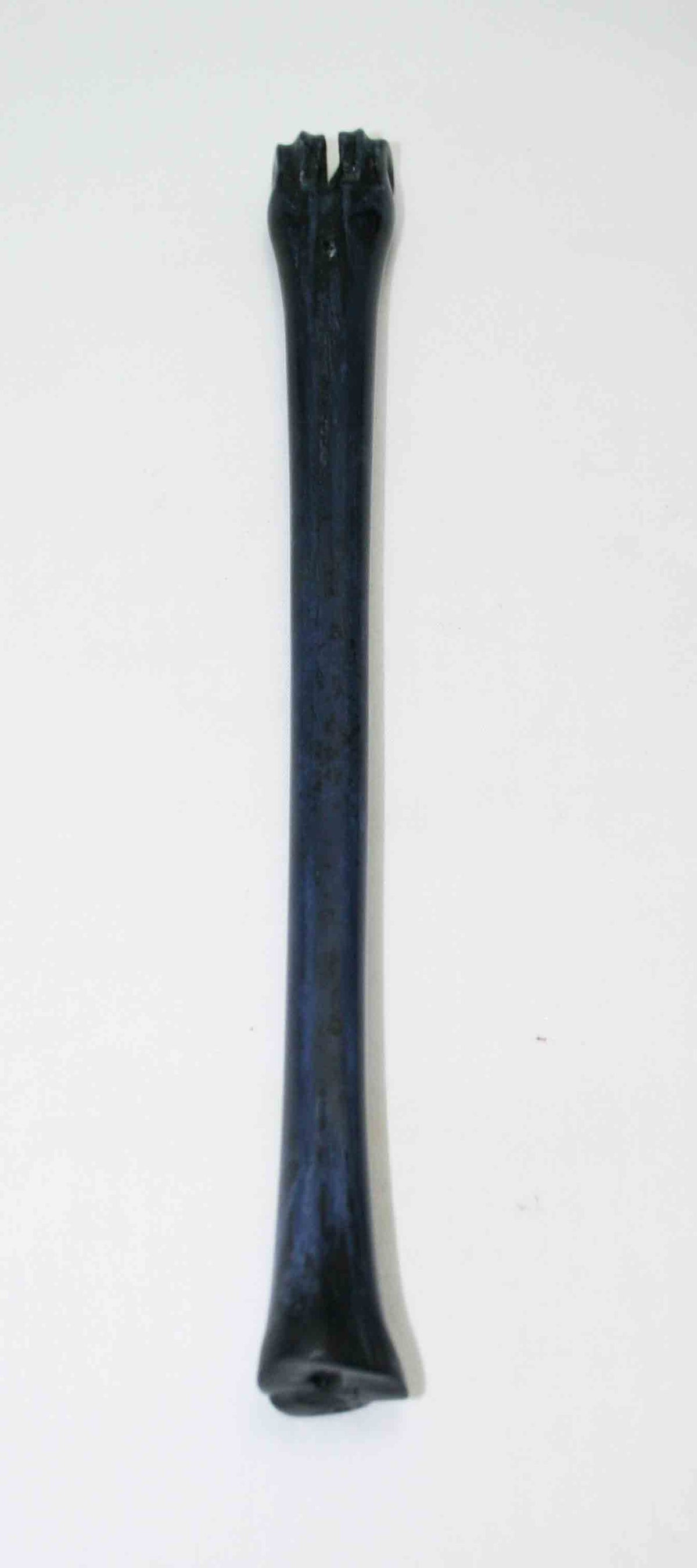 NB801JS13 Impala Bone