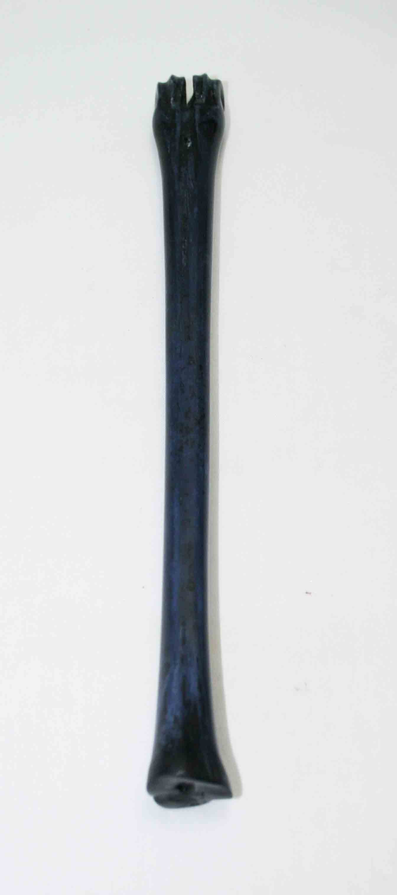 NB801JS13 Impala Bone
