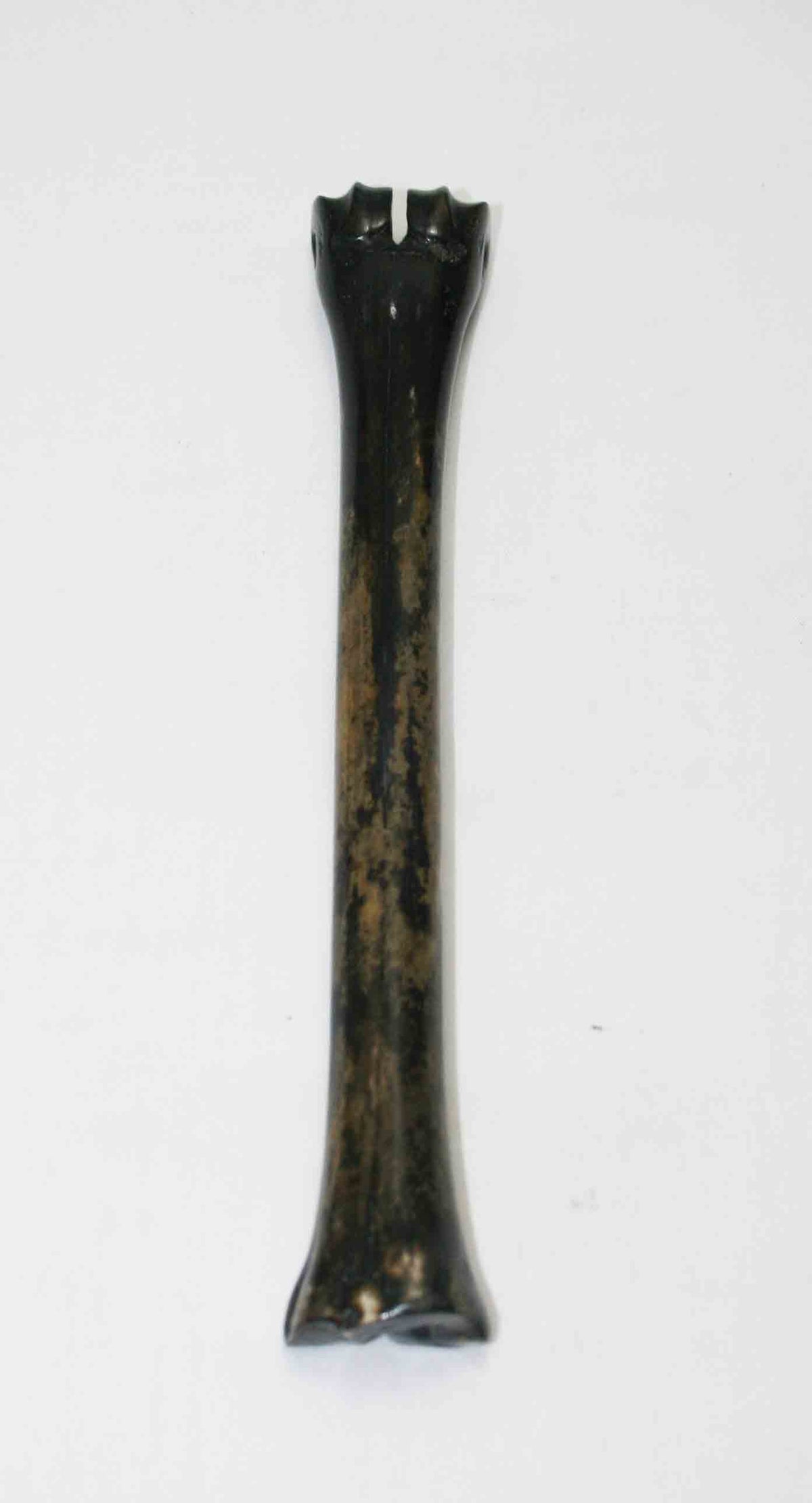 NB801JS14 Impala Bone