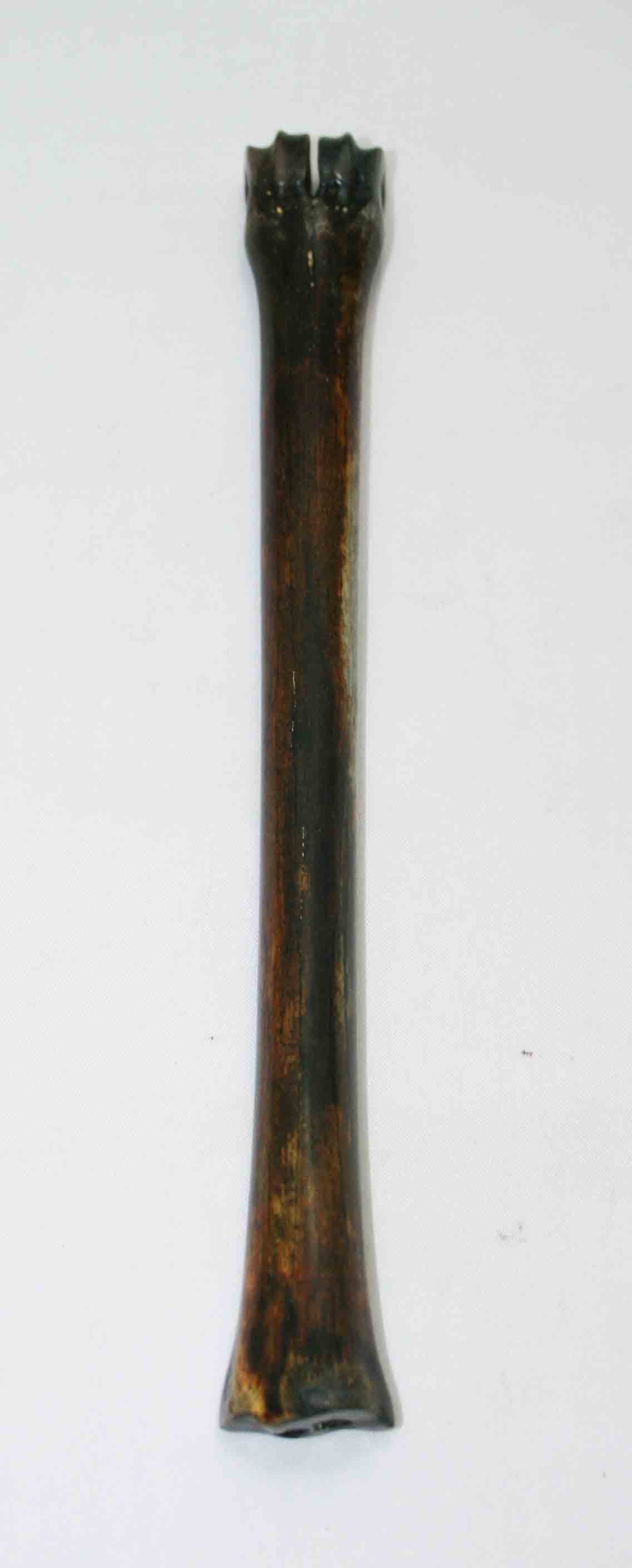 NB801JS5 Impala Bone