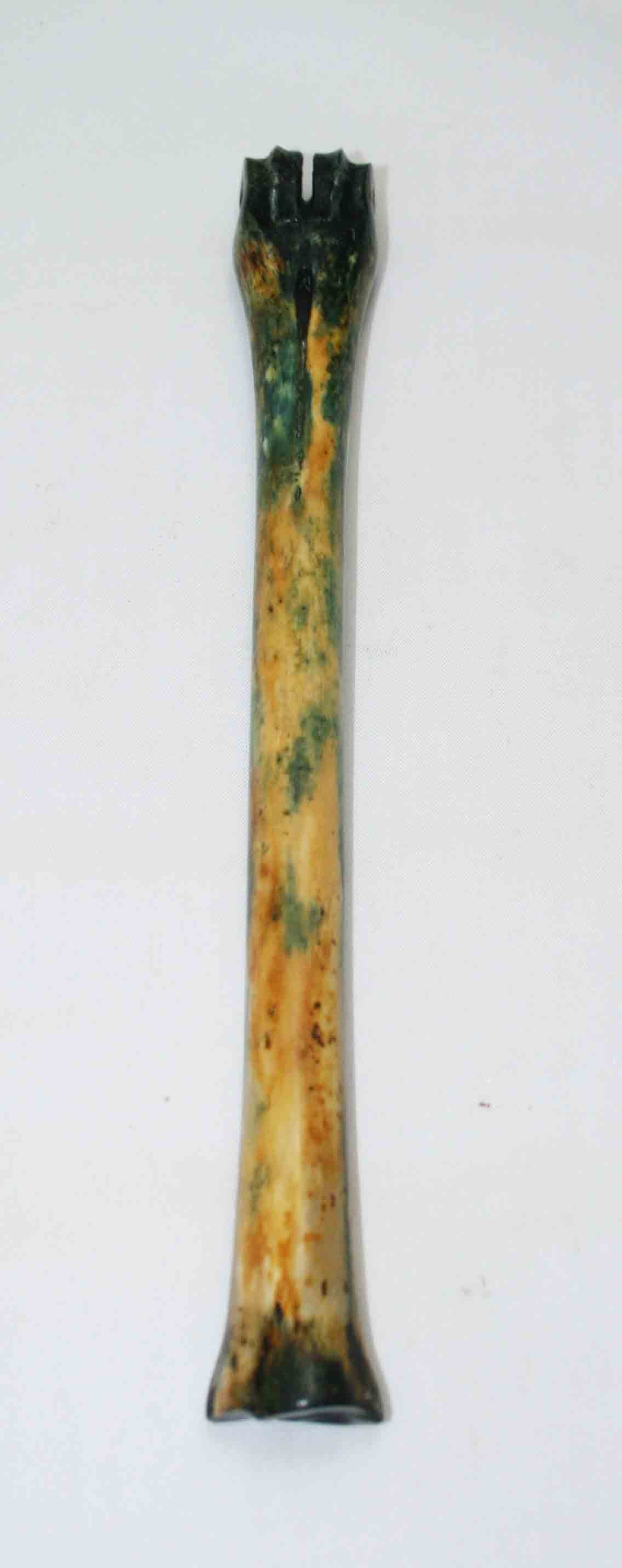 NB801JS6 Impala Bone