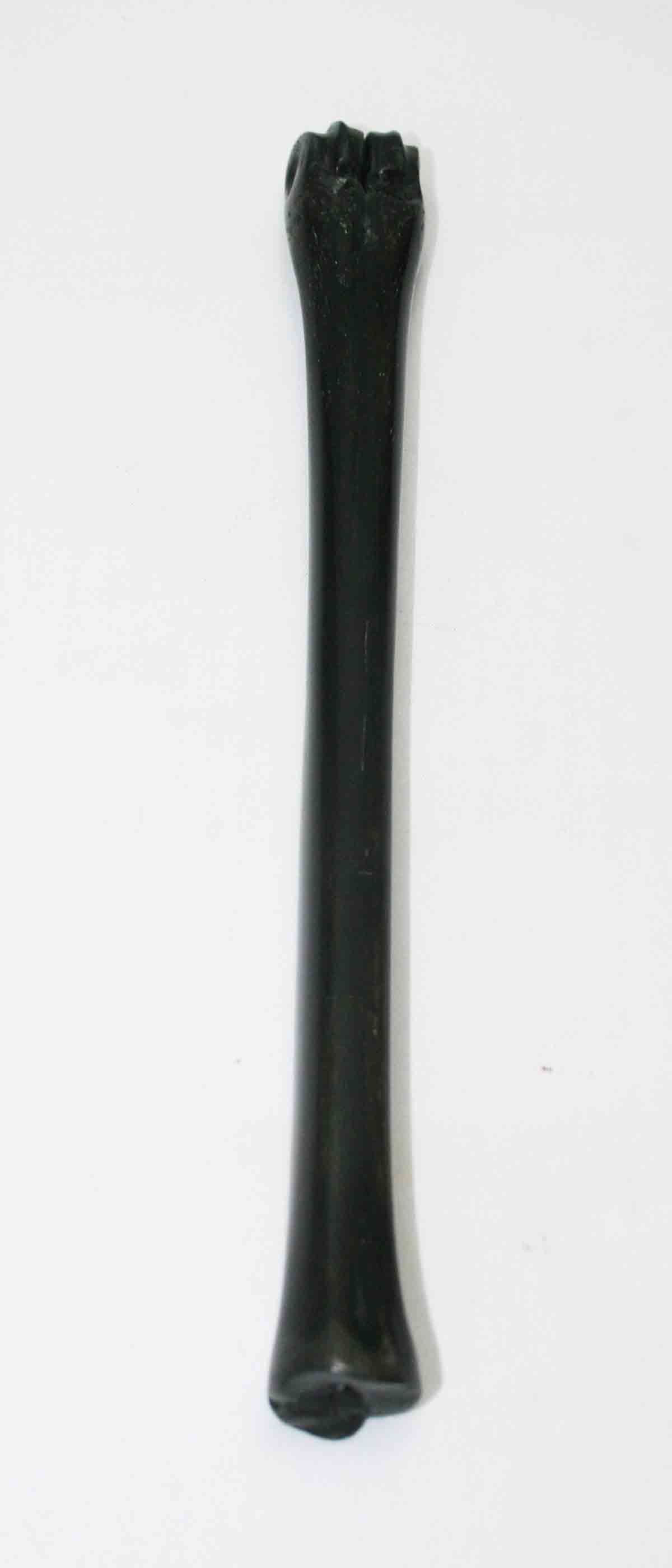 NB801JS8 Impala Bone