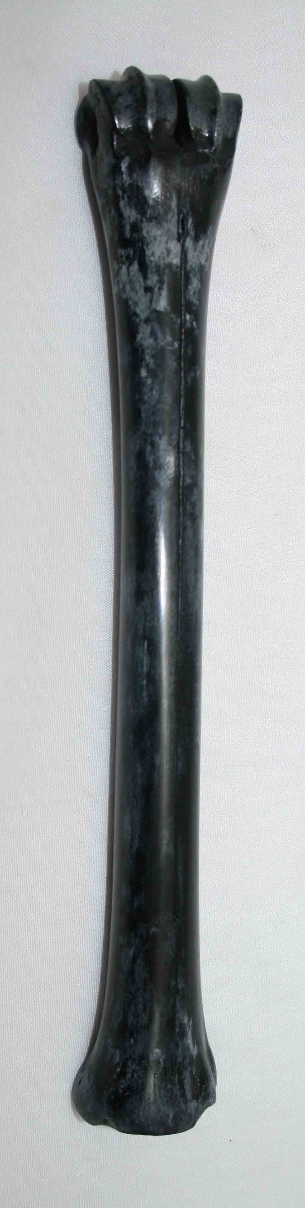 NB801LG10 Impala Bone