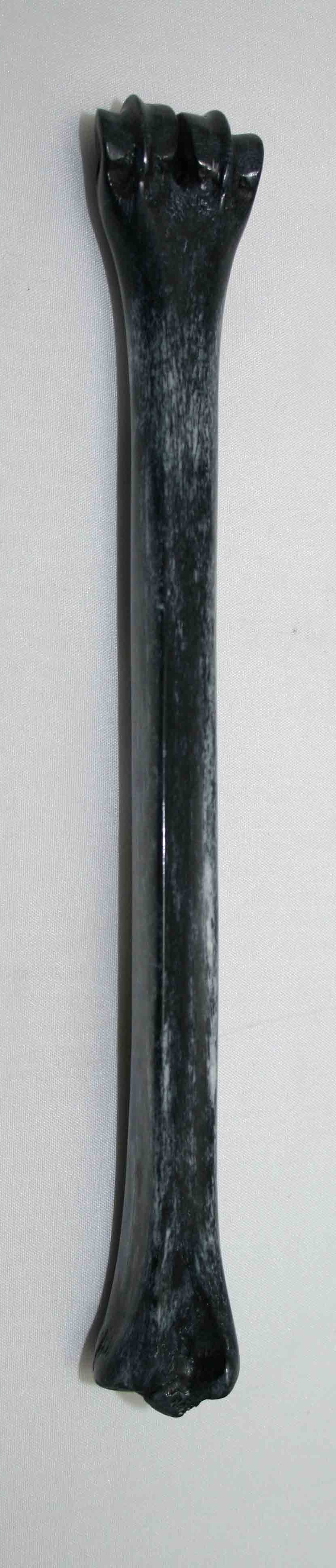 NB801LG14 Impala Bone