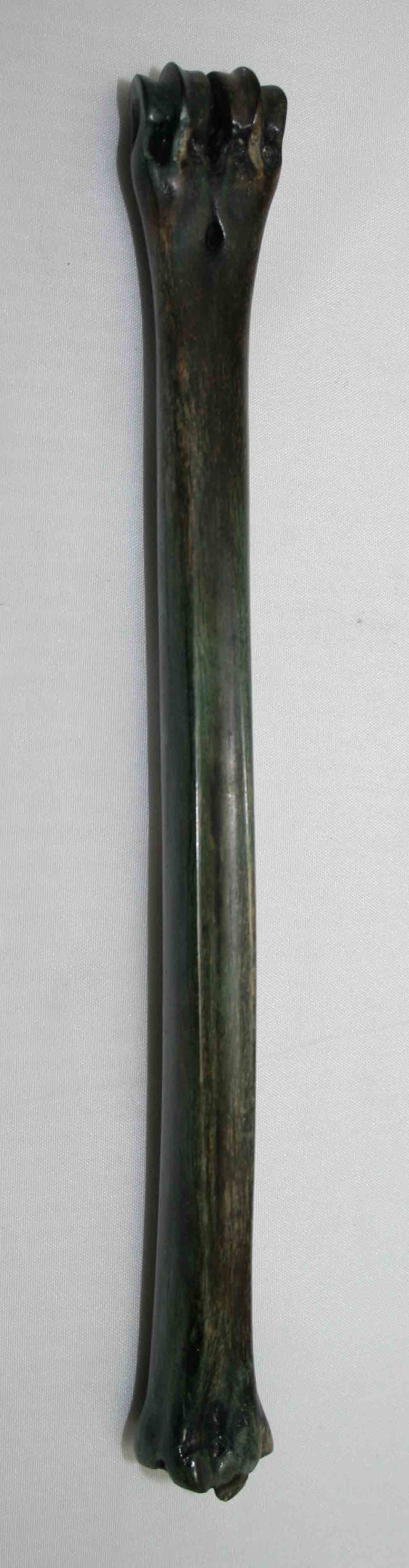 NB801LG15 Impala Bone