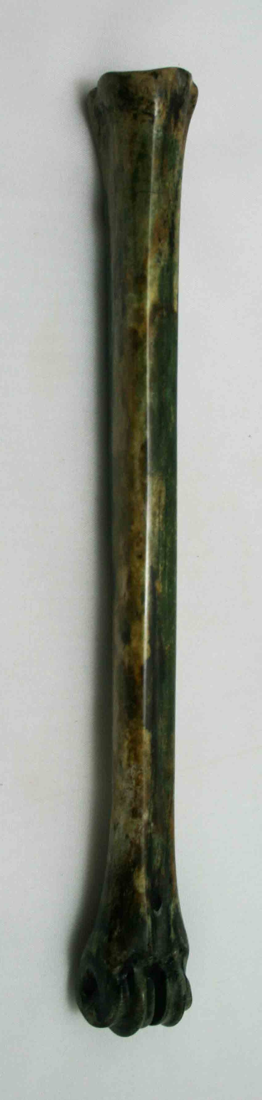 NB801LG1 Impala Bone