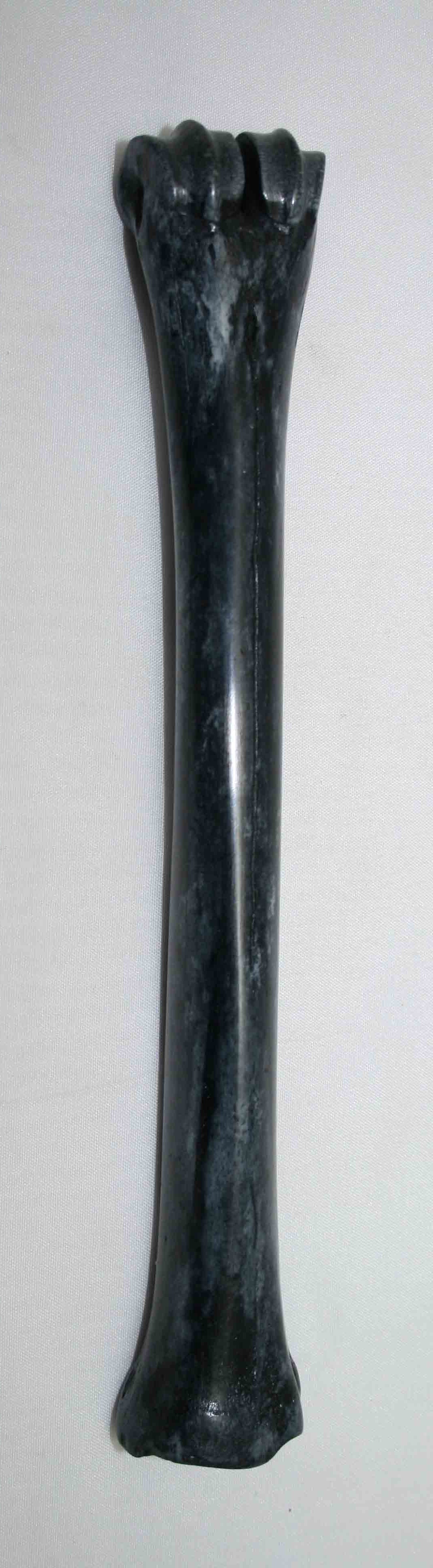 NB801LG8 Impala Bone