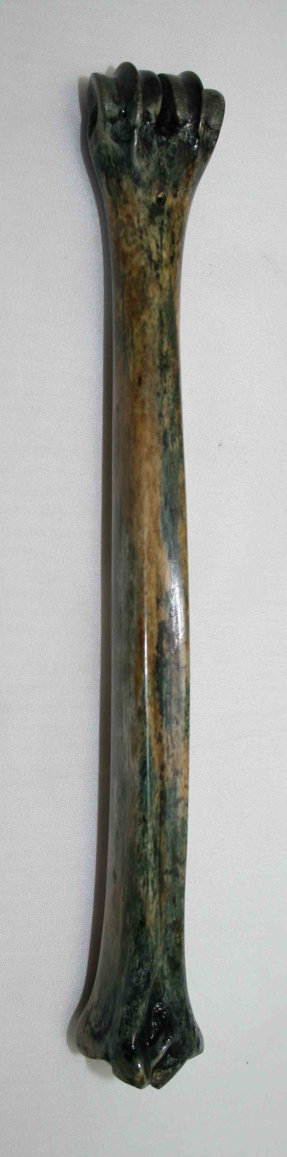 NB801LG9 Impala Bone