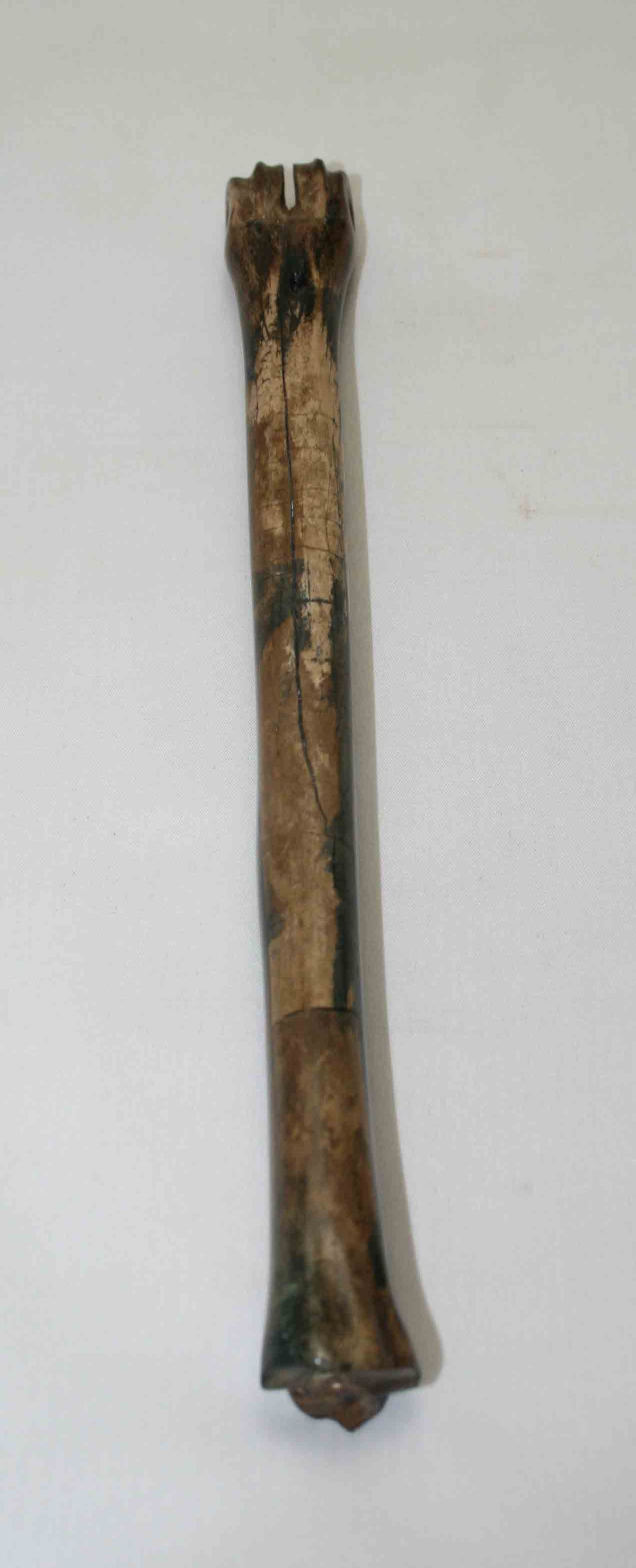 NB801NA10 Impala Bone 9.50" x 0.73" x 0.66" inch