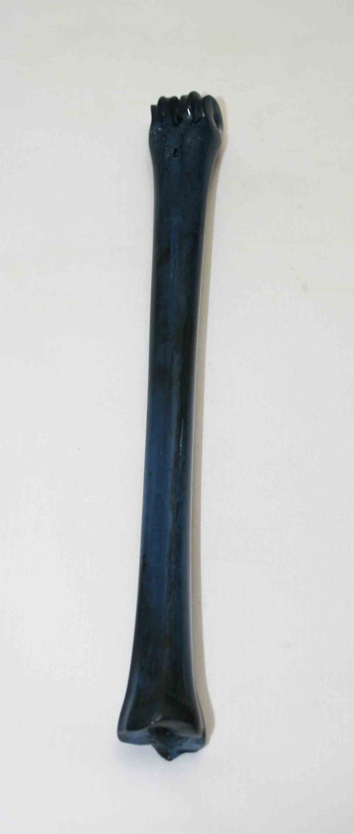 NB801NA3 Impala Bone 9.50" x 0.69" x 0.62" inch