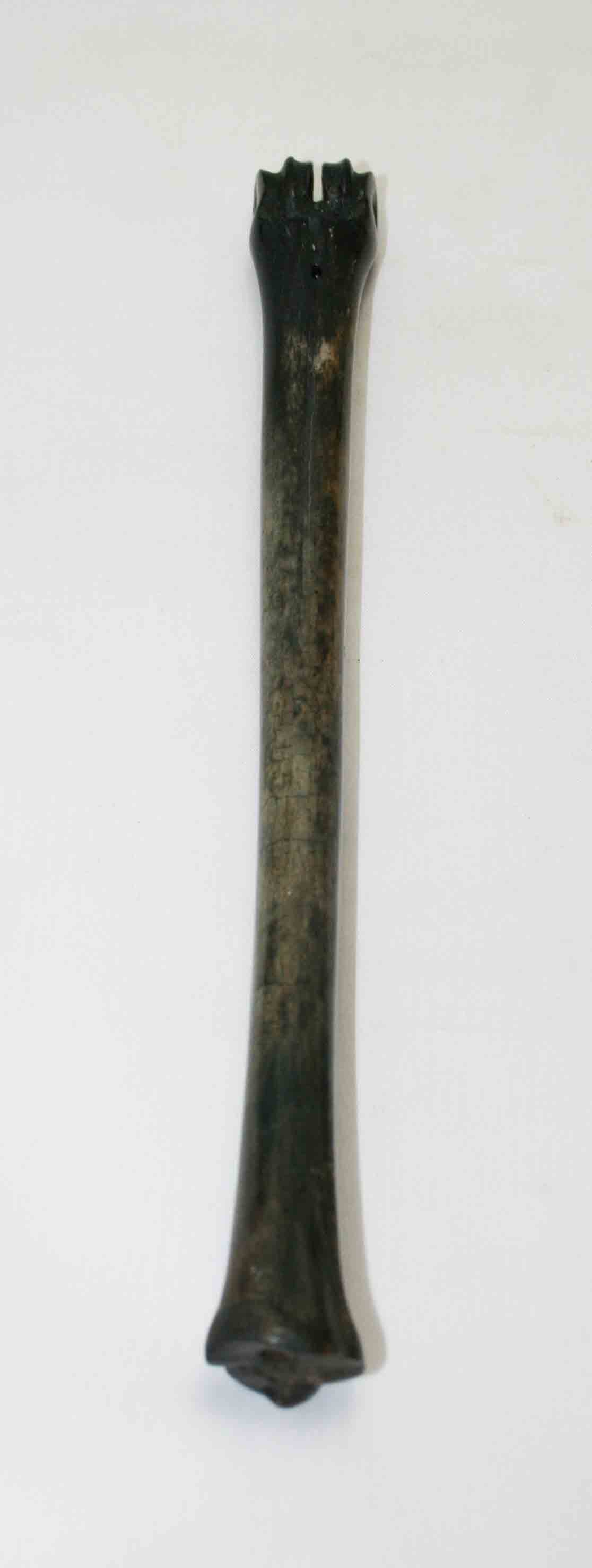 NB801NA5 Impala Bone 9.50" x 0.68" x 0.60" inch