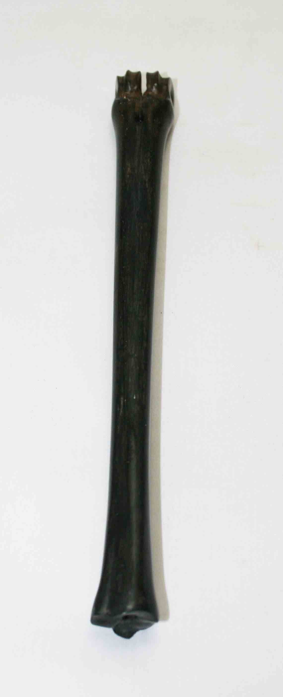 NB801NA7 Impala Bone 9.50" x 0.69" x 0.61" inch