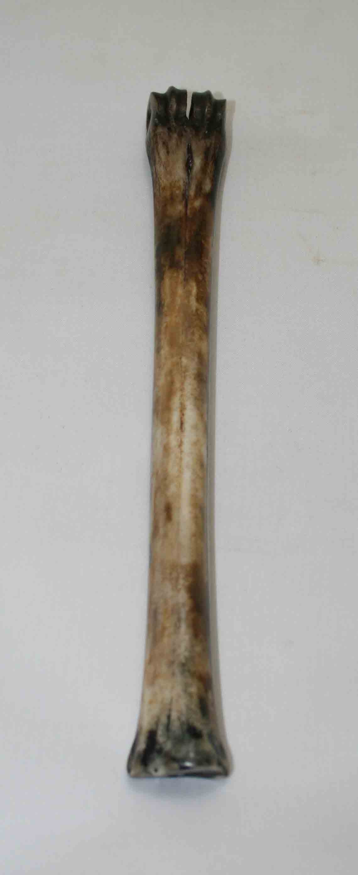 NB801NA8 Impala Bone 9.25" x 0.60" x 0.66" inch