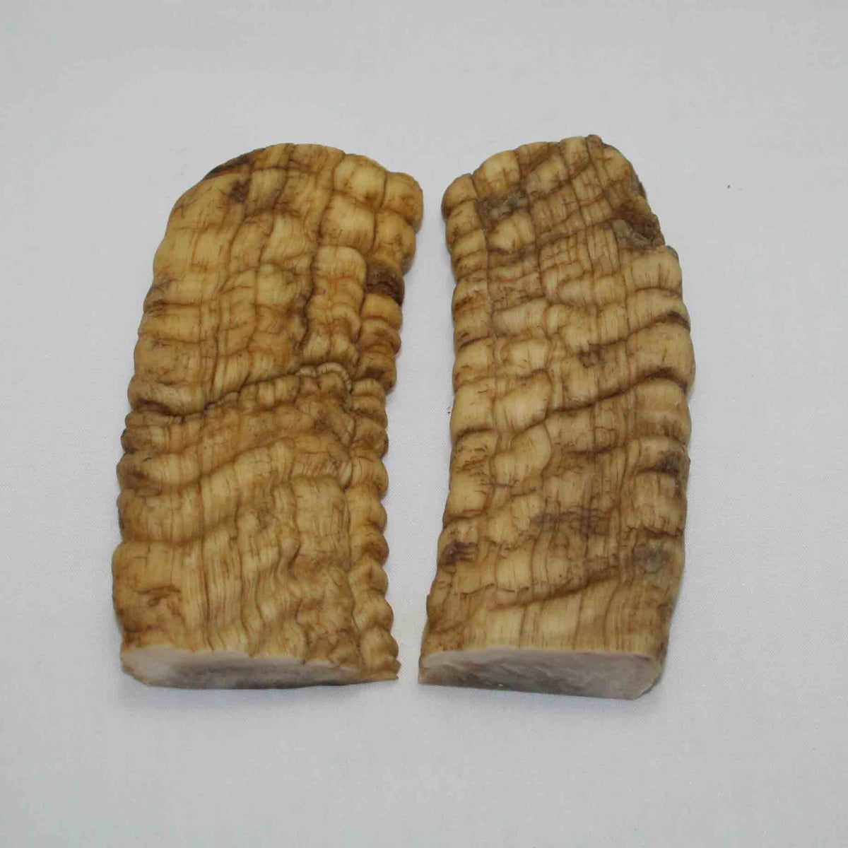 NB901JS10 Merino Ram&#39;s Horn Flat Block Scales