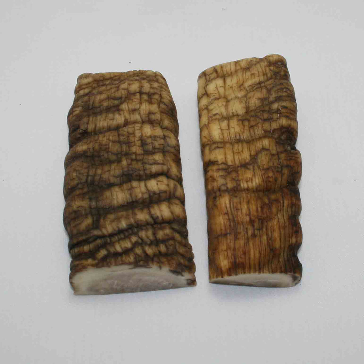 NB901JS16 Merino Ram&#39;s Horn Flat Block Scales