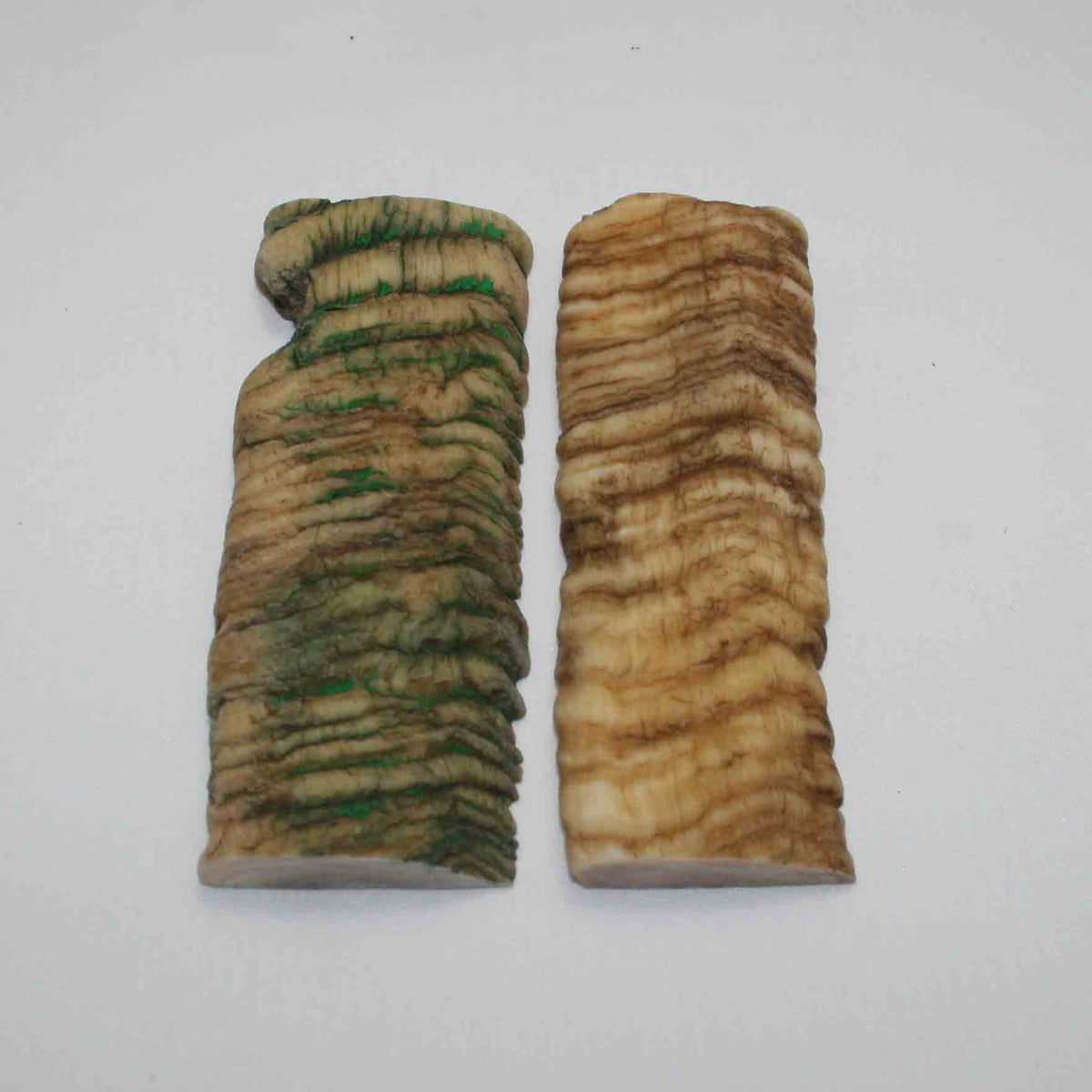 NB901JS18 Merino Ram&#39;s Horn Flat Block Scales