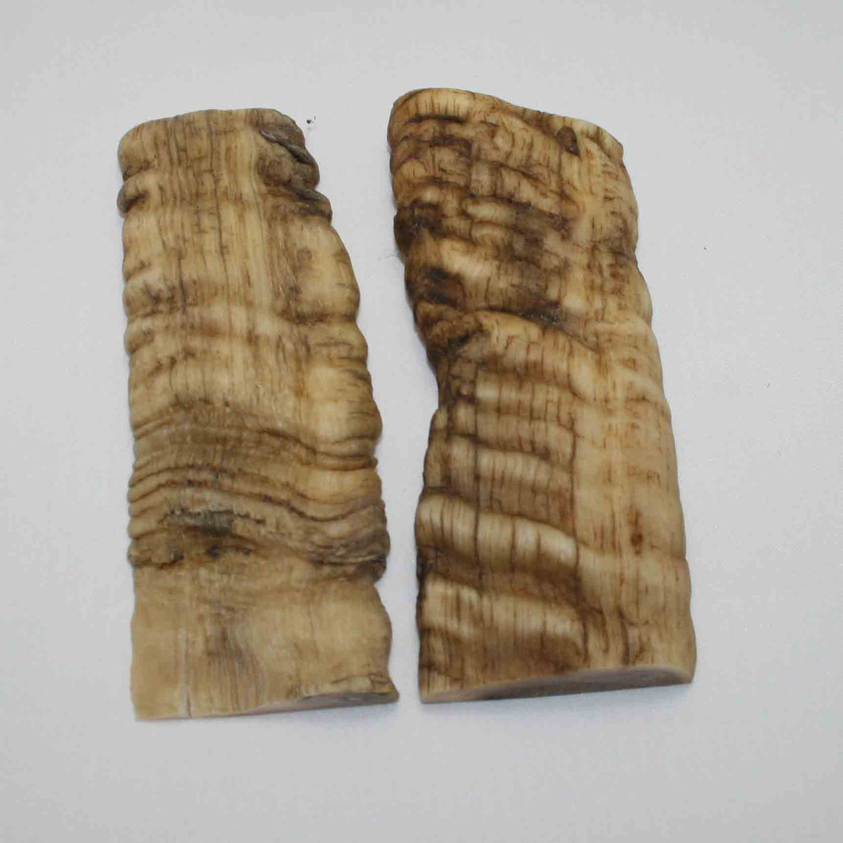 NB901JS21 Merino Ram&#39;s Horn Flat Block Scales