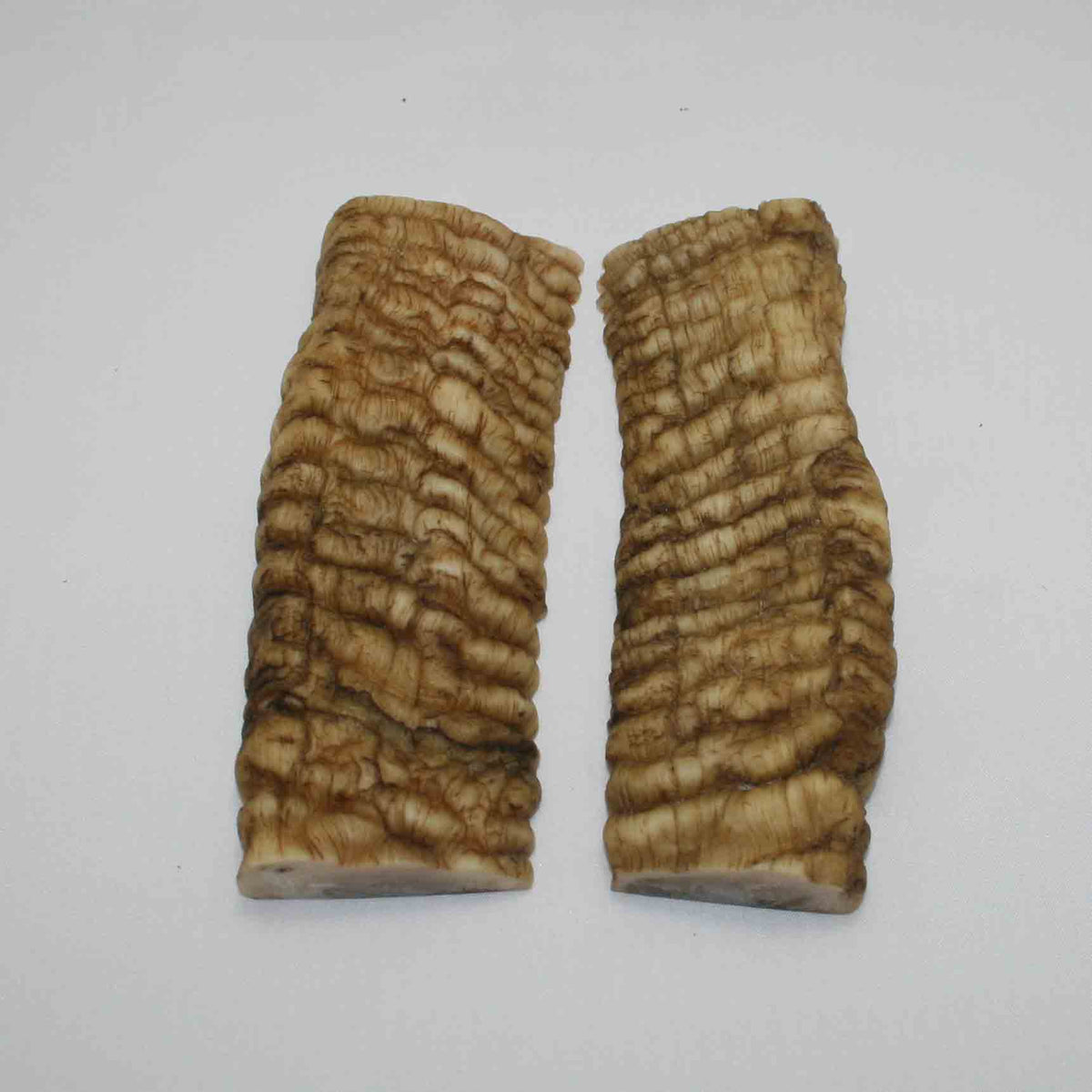 NB901JS28 Merino Ram&#39;s Horn Flat Block Scales