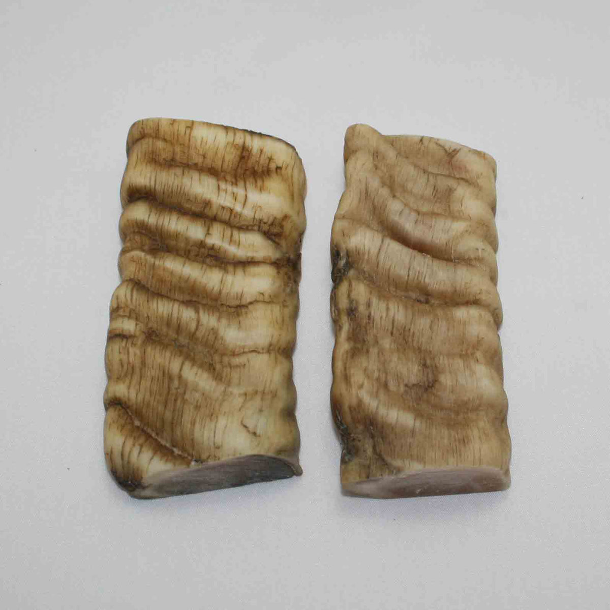 NB901JS29 Merino Ram&#39;s Horn Flat Block Scales