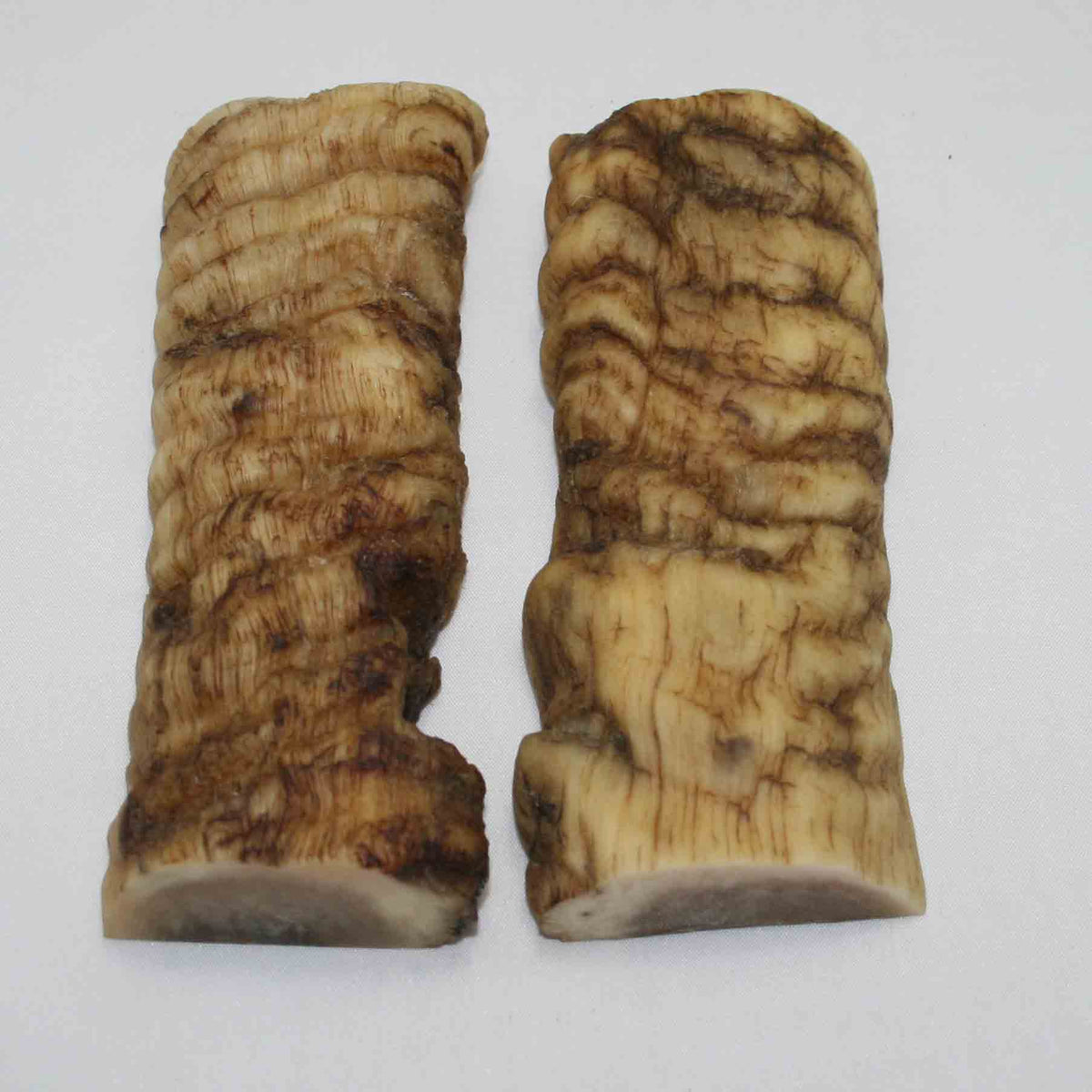 NB901JS2 Merino Ram&#39;s Horn Flat Block Scales