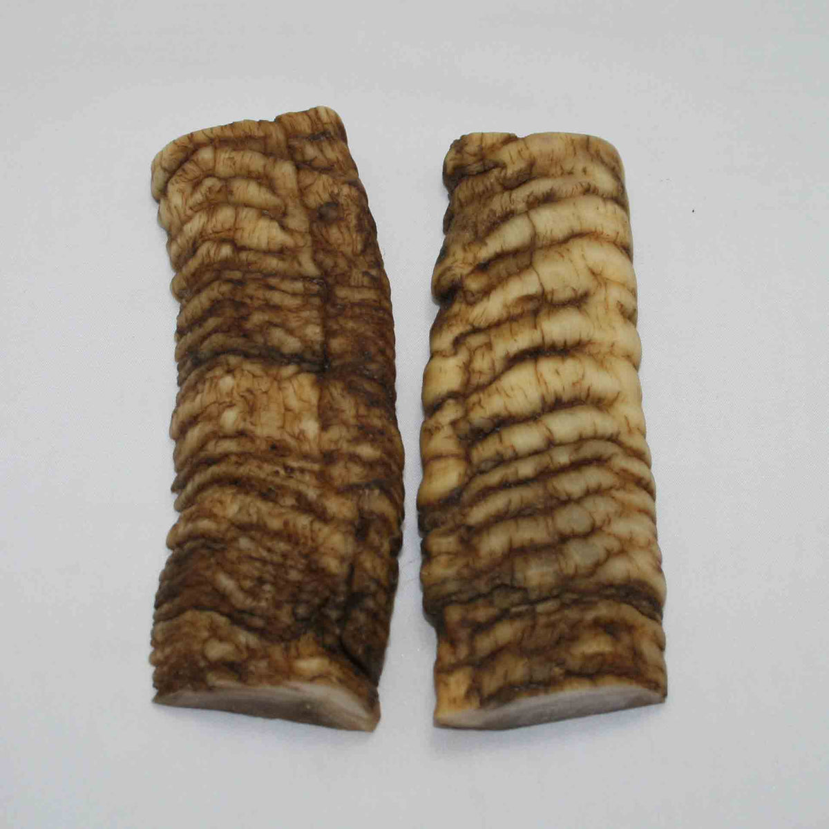 NB901JS5 Merino Ram&#39;s Horn Flat Block Scales