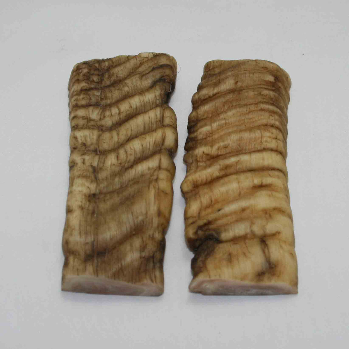 NB901JS9 Merino Ram&#39;s Horn Flat Block Scales