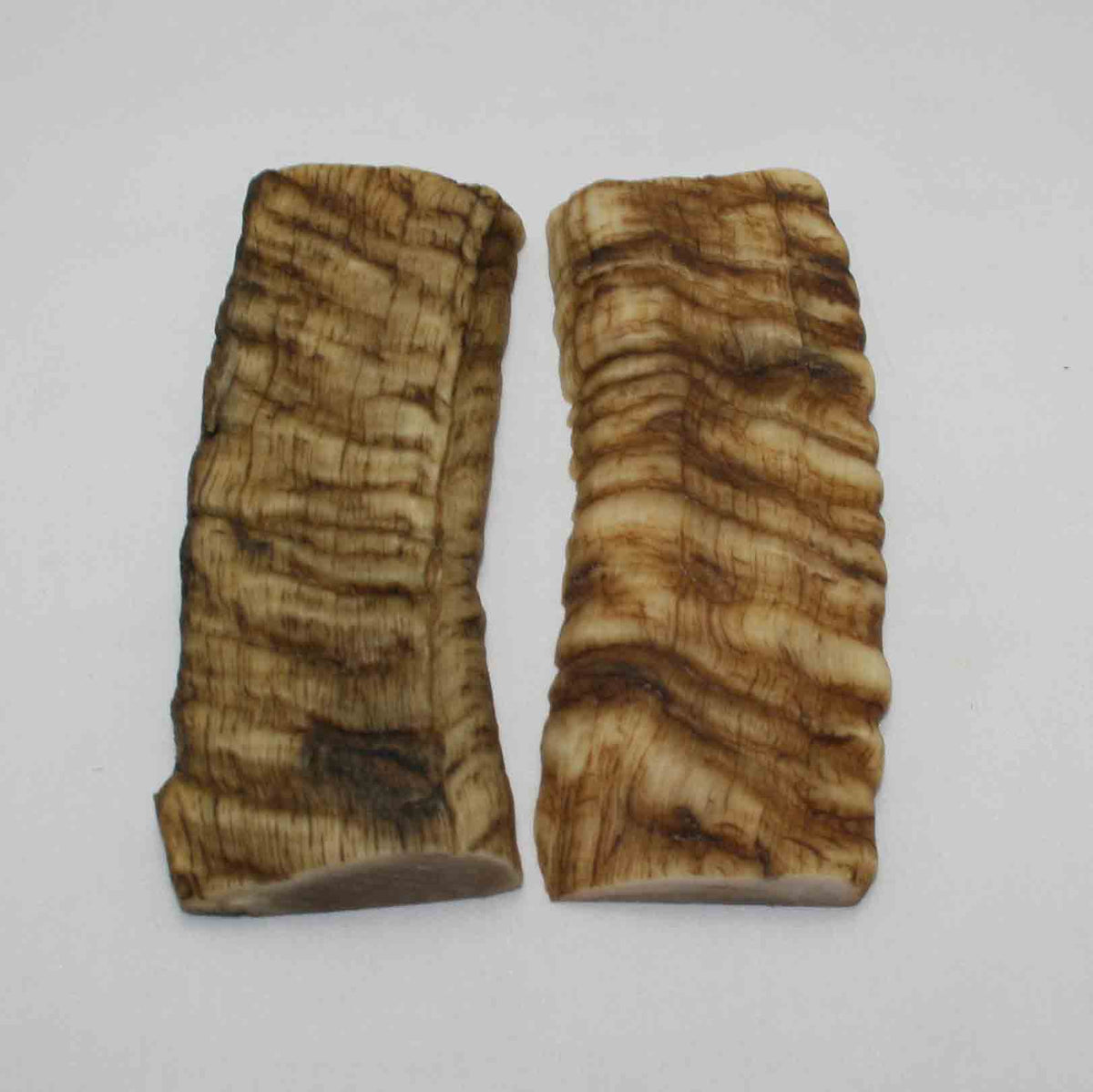 NB901LG46 Merino Ram's Horn Flat Block Scales