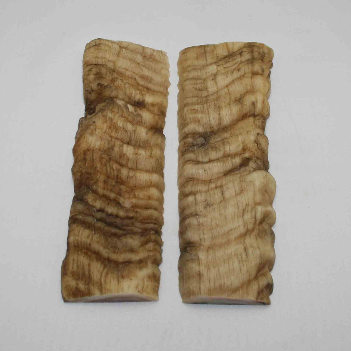 NB901LG12 Merino Ram's Horn Flat Block Scales