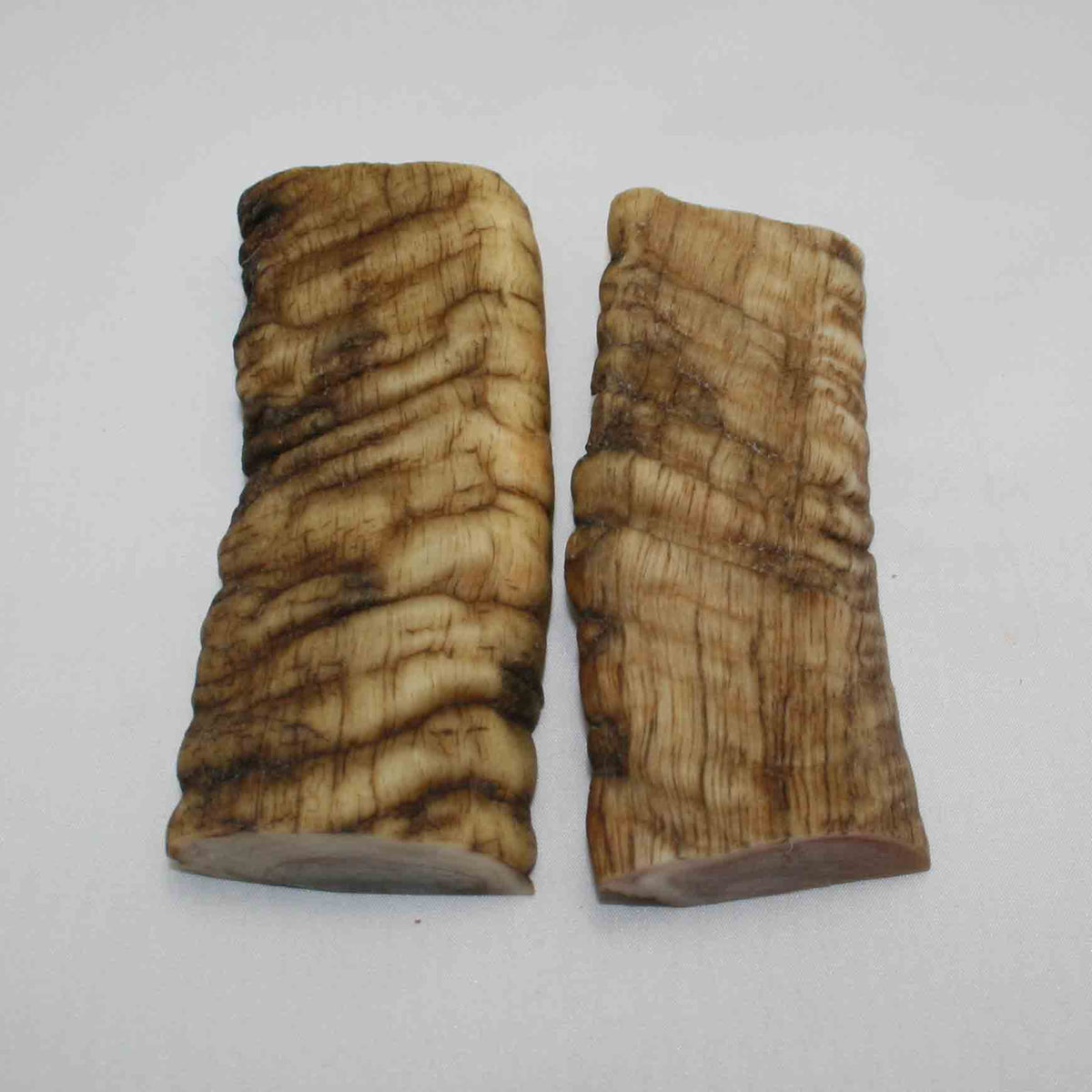 NB901LG15 Merino Ram's Horn Flat Block Scales
