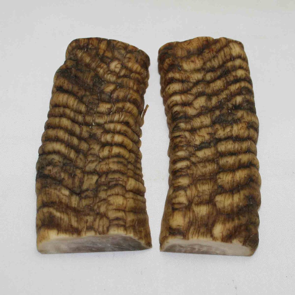 NB901MMA11 Merino Ram&#39;s Horn Flat Block Scales