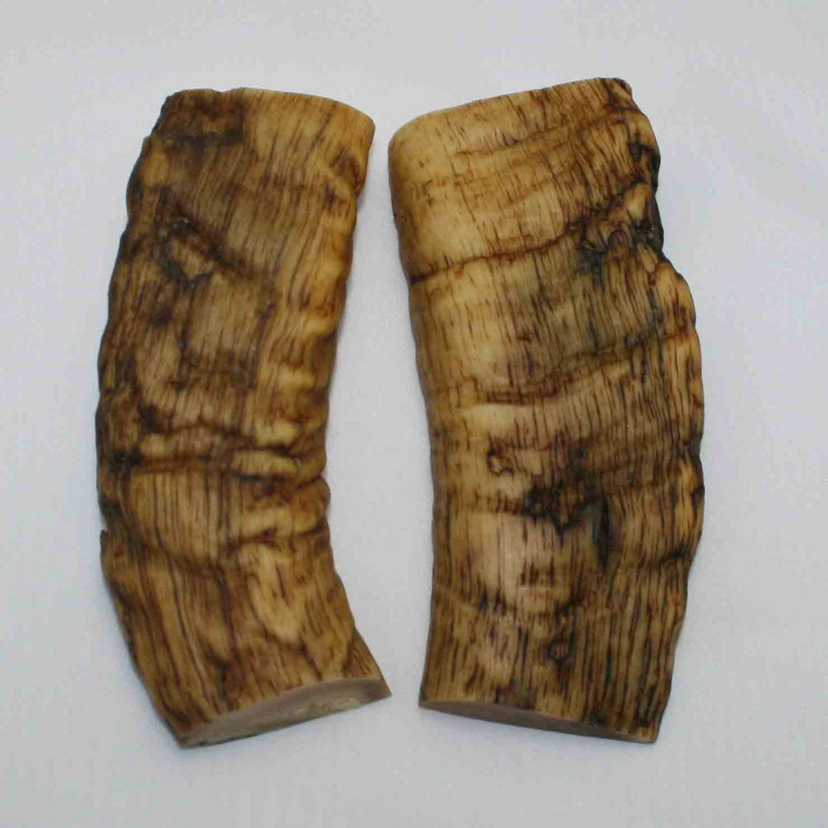 NB901MMA12 Merino Ram&#39;s Horn Flat Block Scales