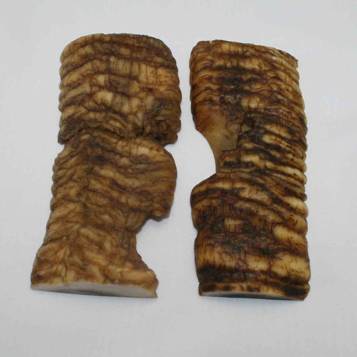 NB901MMA13 Merino Ram&#39;s Horn Flat Block Scales