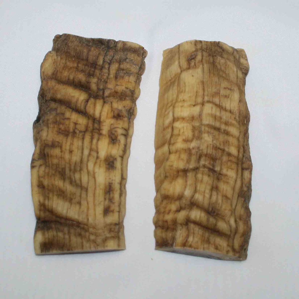 NB901MMA16 Merino Ram&#39;s Horn Flat Block Scales