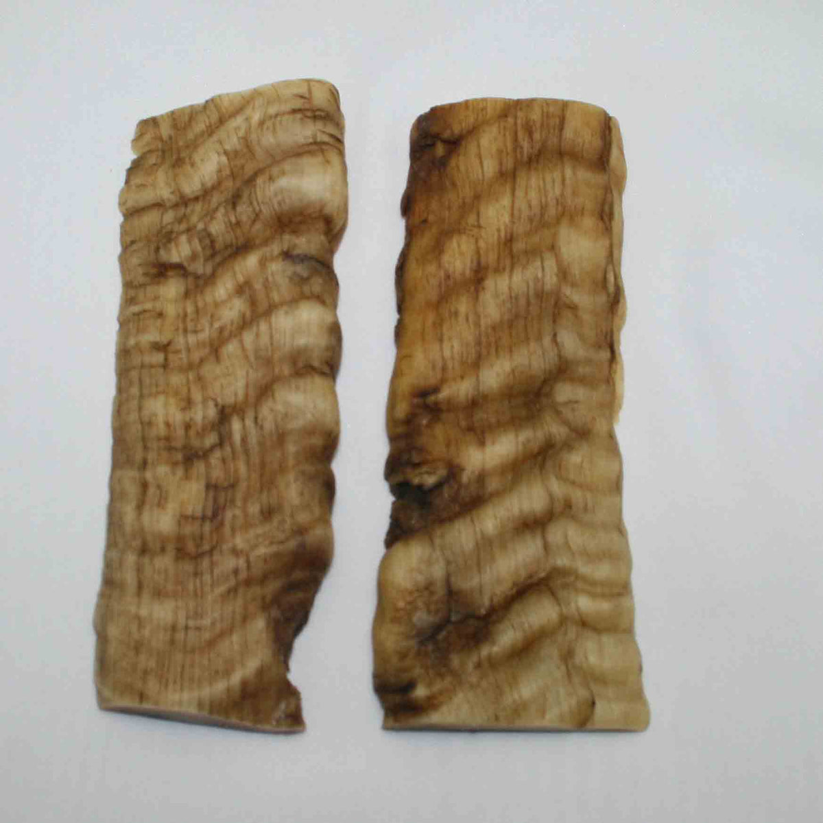 NB901MMA17 Merino Ram&#39;s Horn Flat Block Scales