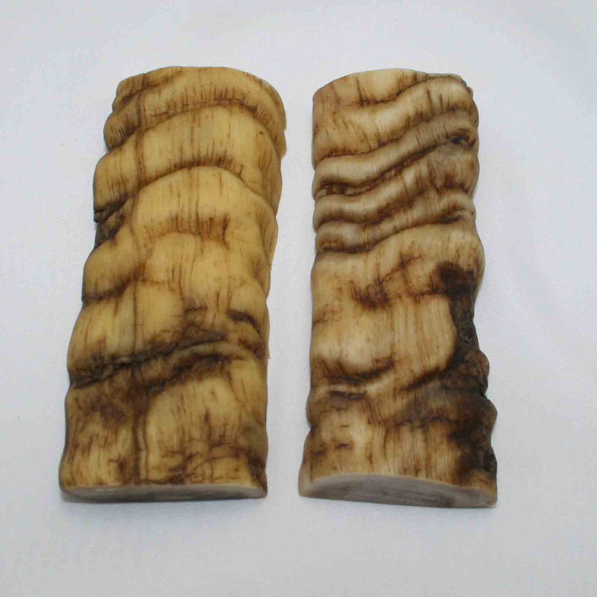 NB901MMA19 Merino Ram&#39;s Horn Flat Block Scales