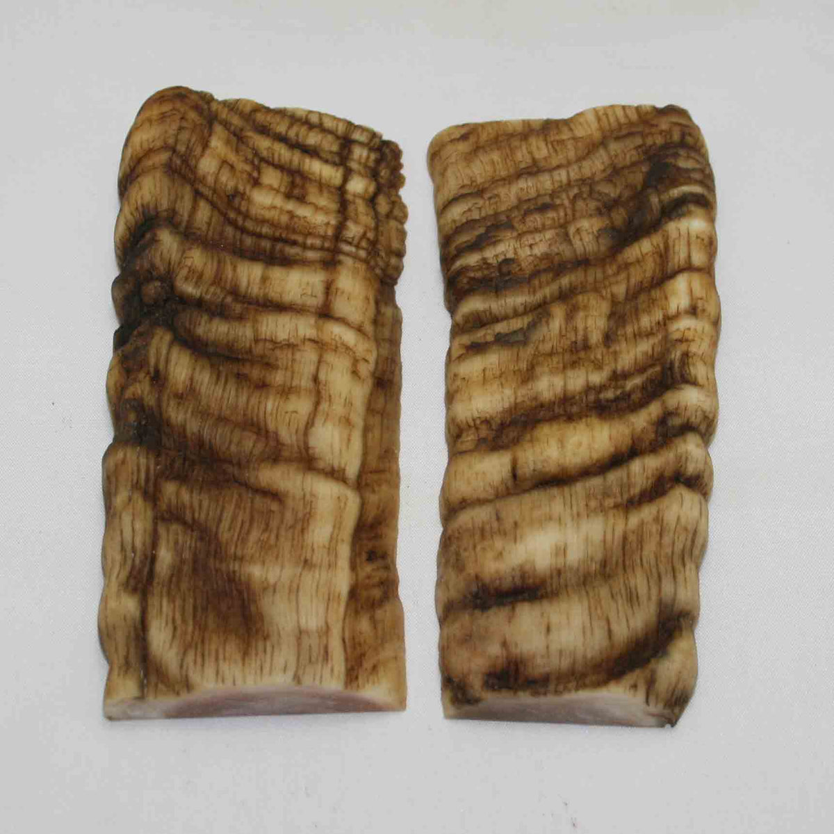 NB901MMA1 Merino Ram&#39;s Horn Flat Block Scales