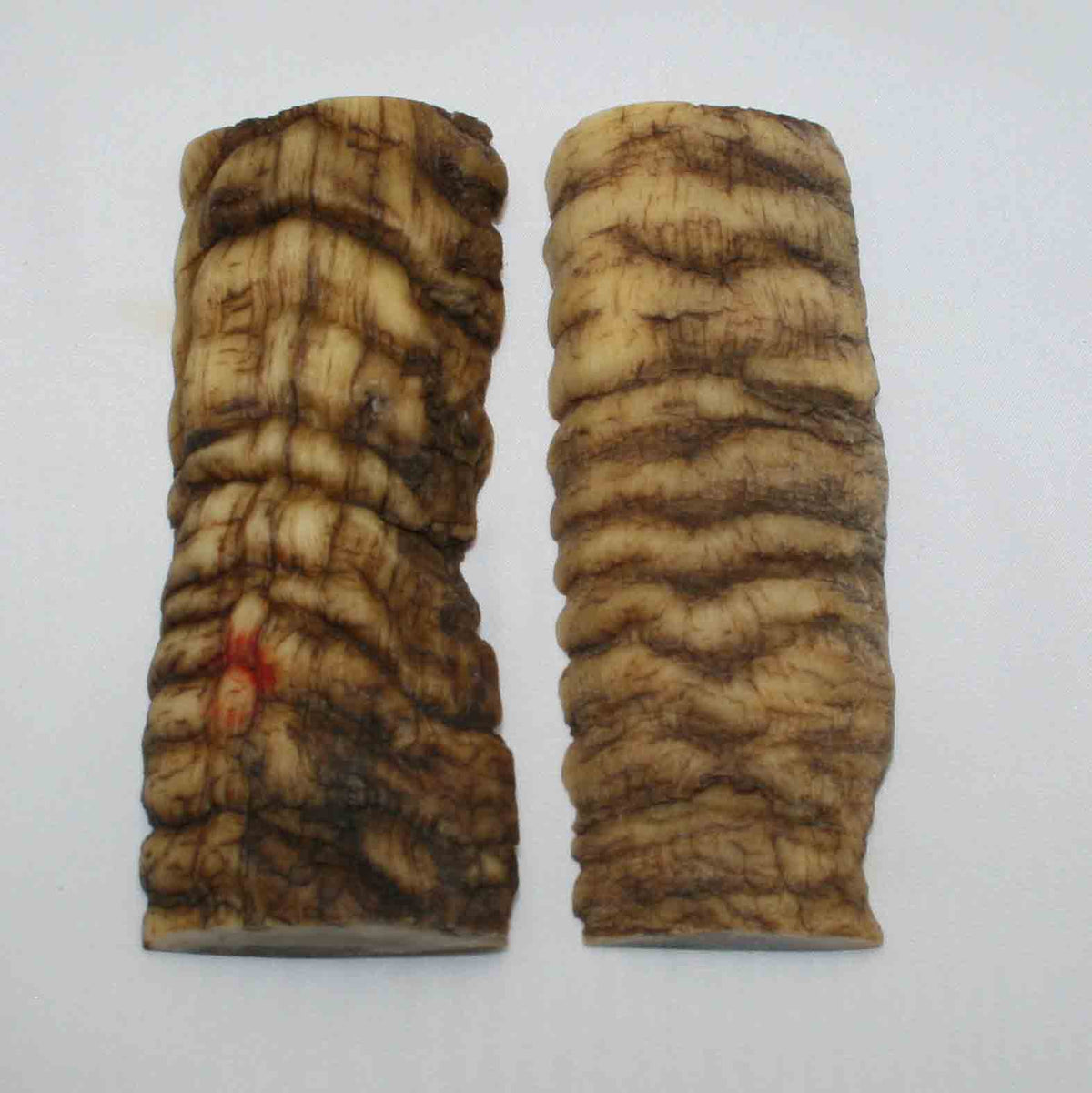 NB901MMA20 Merino Ram&#39;s Horn Flat Block Scales