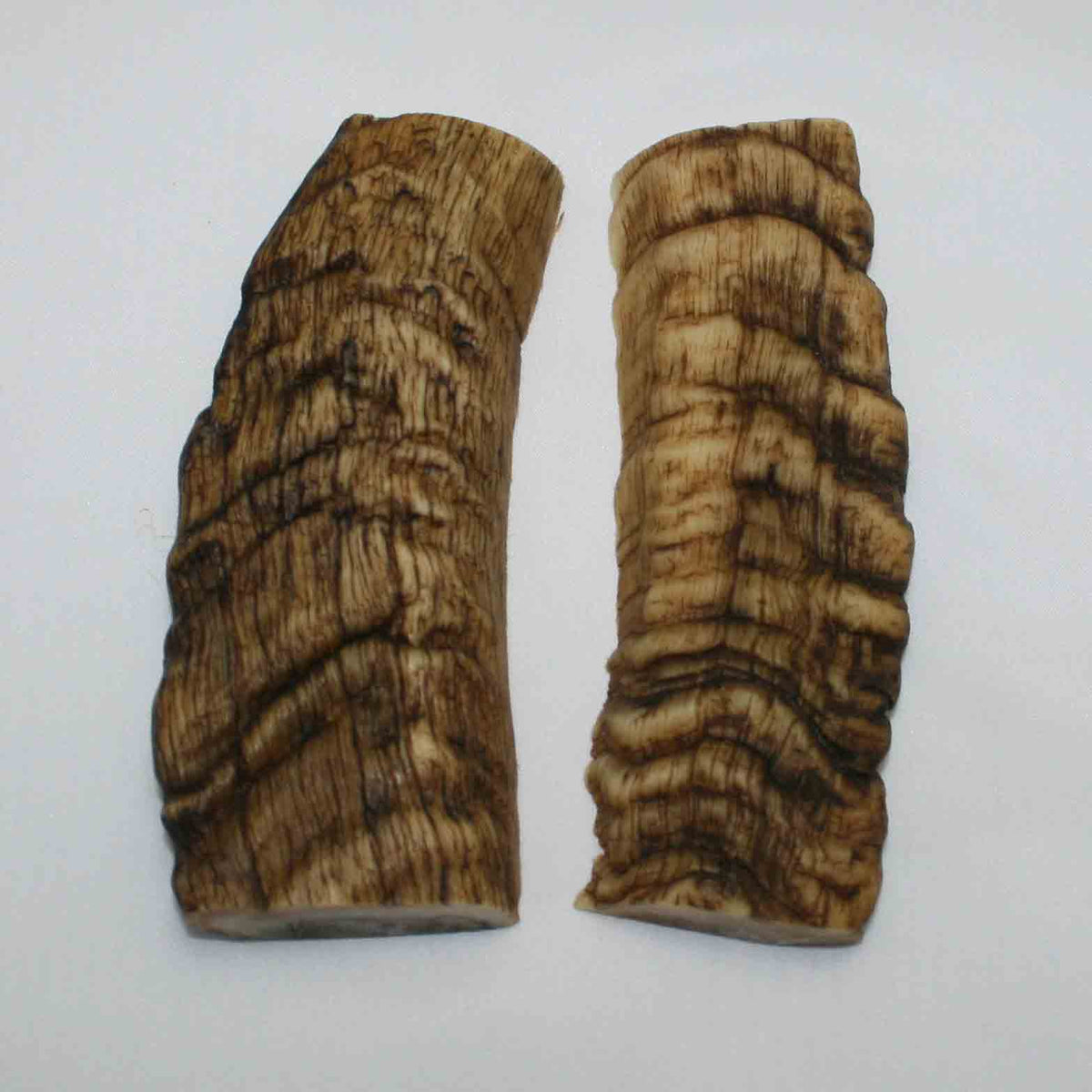 NB901MMA21 Merino Ram&#39;s Horn Flat Block Scales