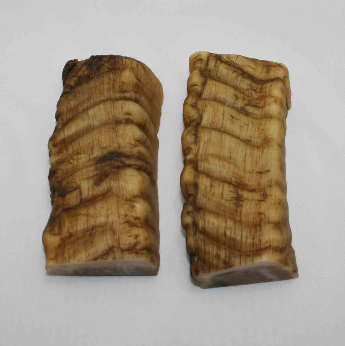 NB901MMA22 Merino Ram&#39;s Horn Flat Block Scales