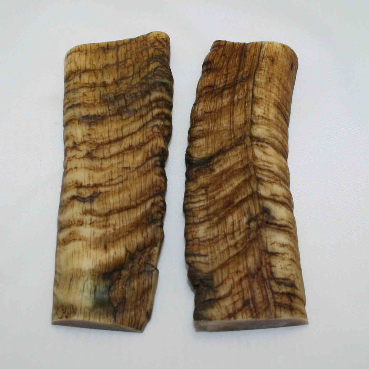 NB901MMA27 Merino Ram&#39;s Horn Flat Block Scales