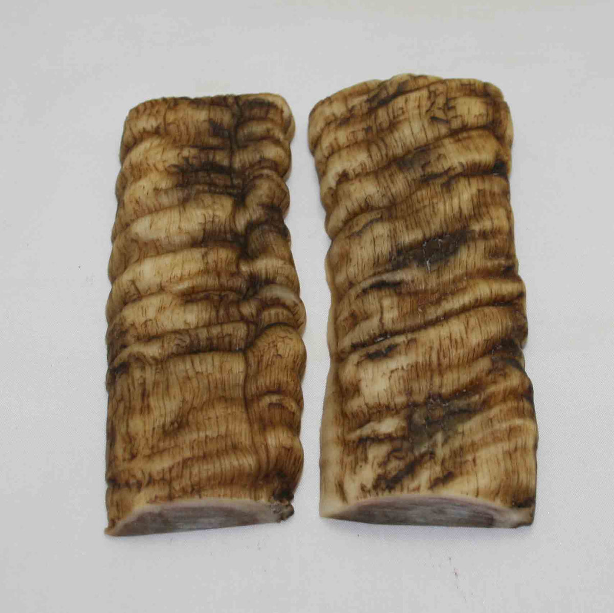 NB901MMA2 Merino Ram&#39;s Horn Flat Block Scales