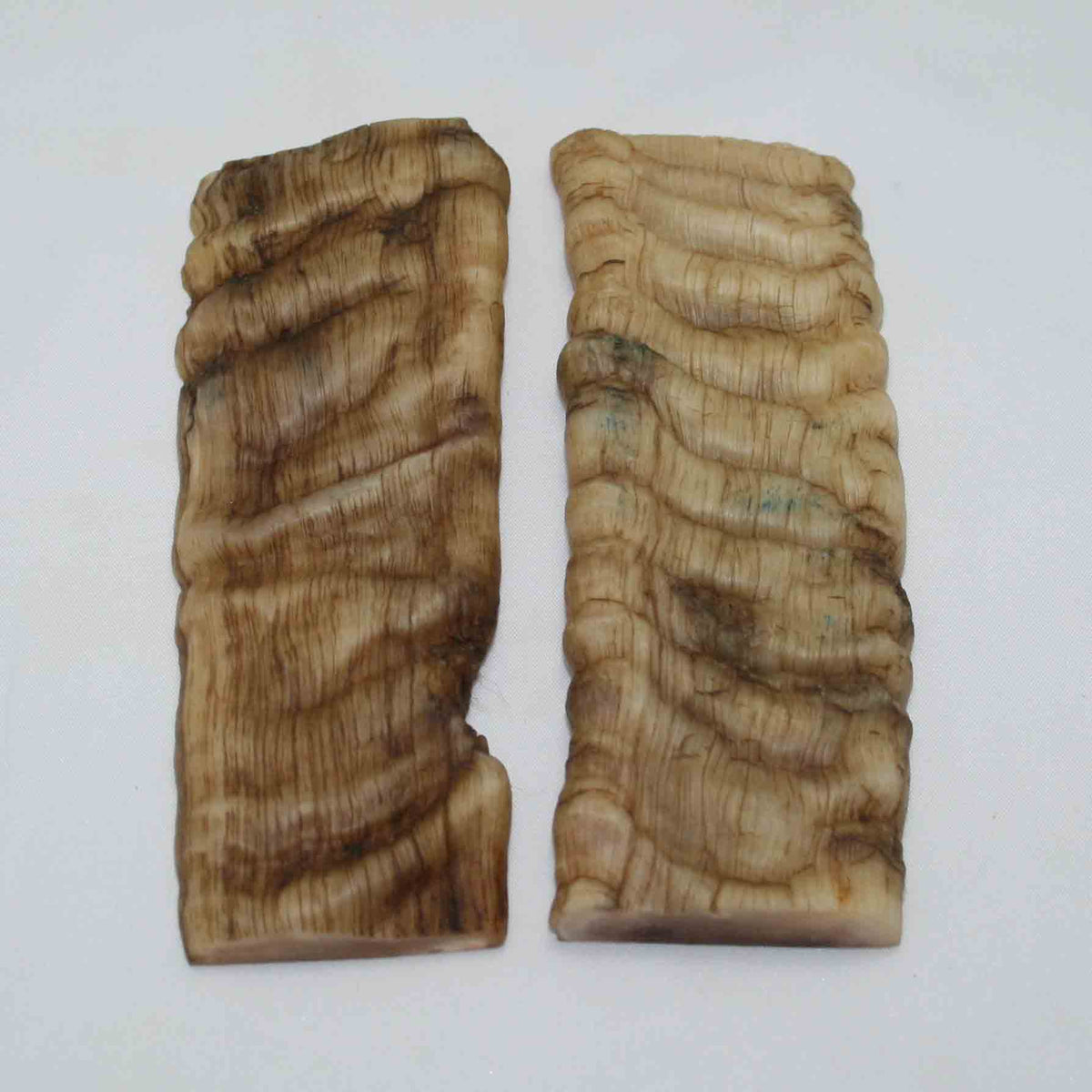 NB901NAM10 Merino Ram&#39;s Horn Flat Block Scales