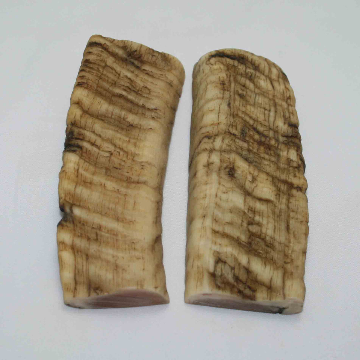 NB901NAM12 Merino Ram&#39;s Horn Flat Block Scales