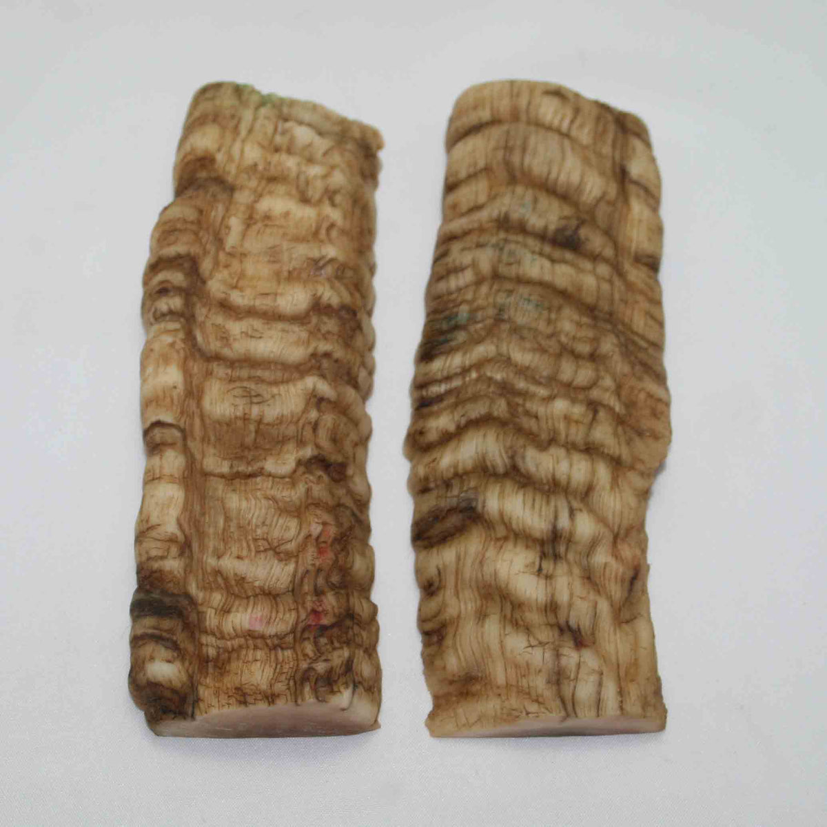 NB901NAM14 Merino Ram&#39;s Horn Flat Block Scales