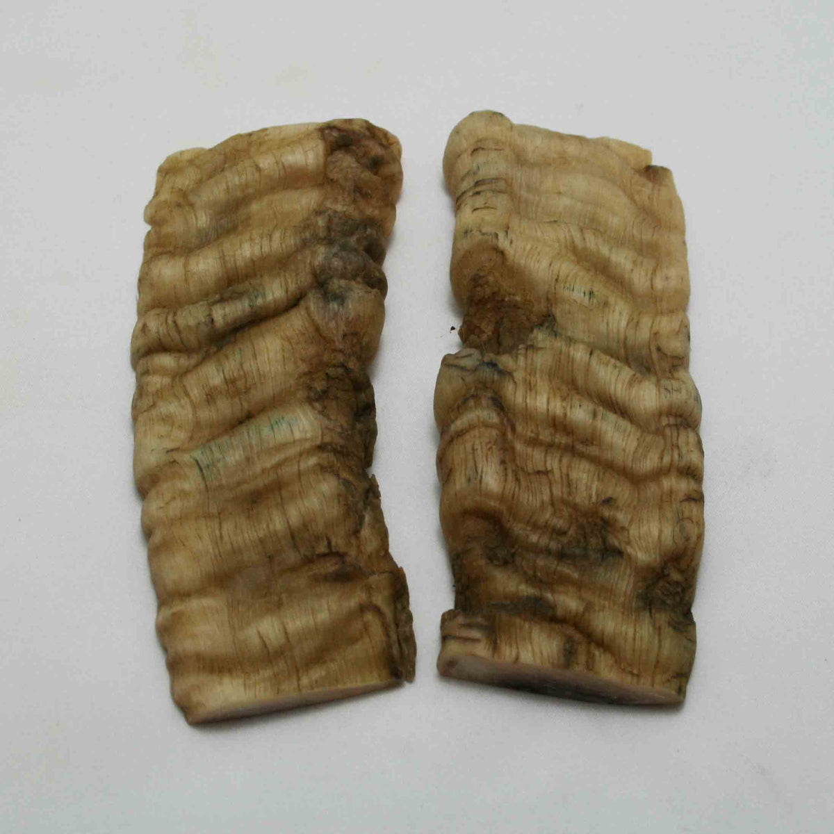 NB901NAM20 Merino Ram&#39;s Horn Flat Block Scales