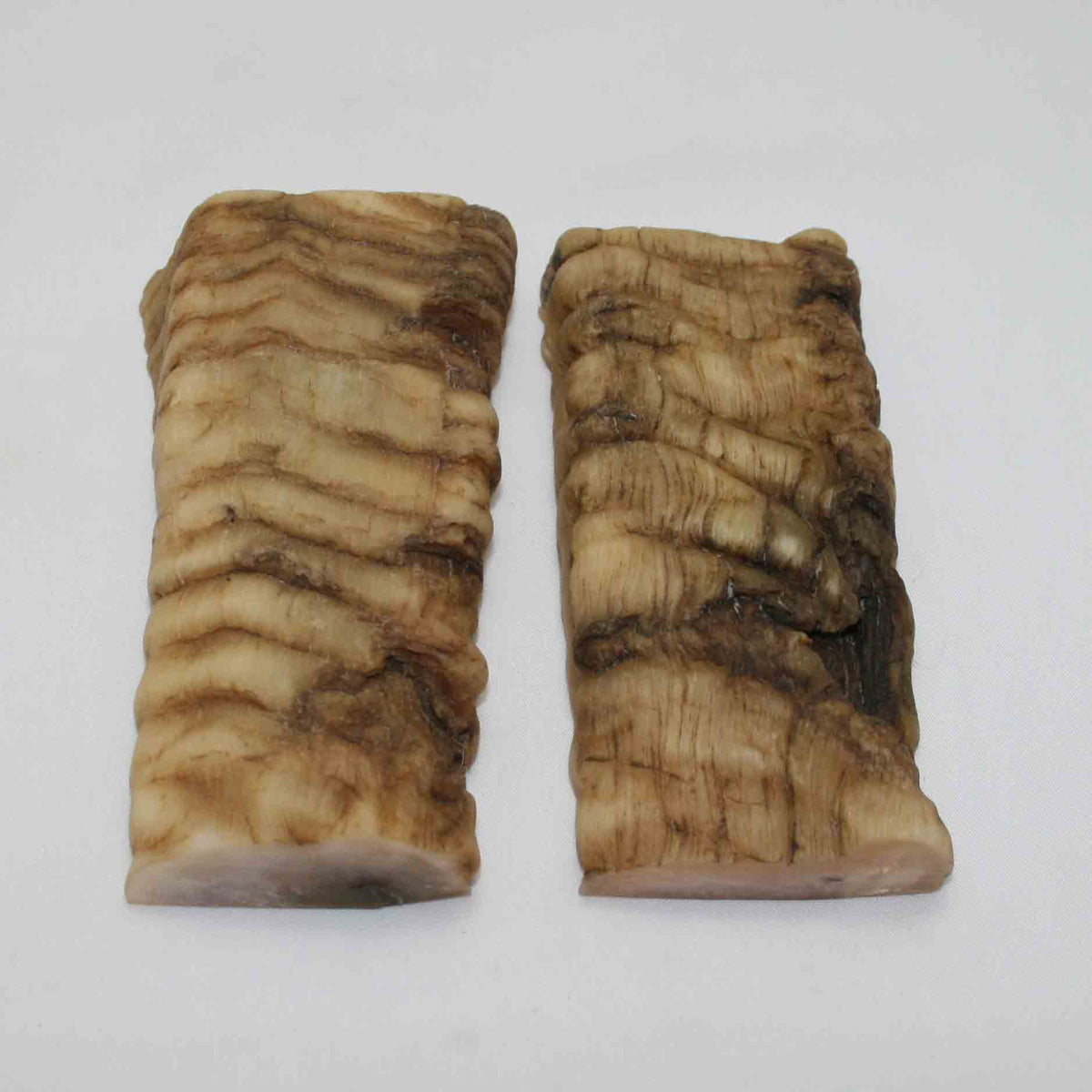 NB901NAM24 Merino Ram&#39;s Horn Flat Block Scales