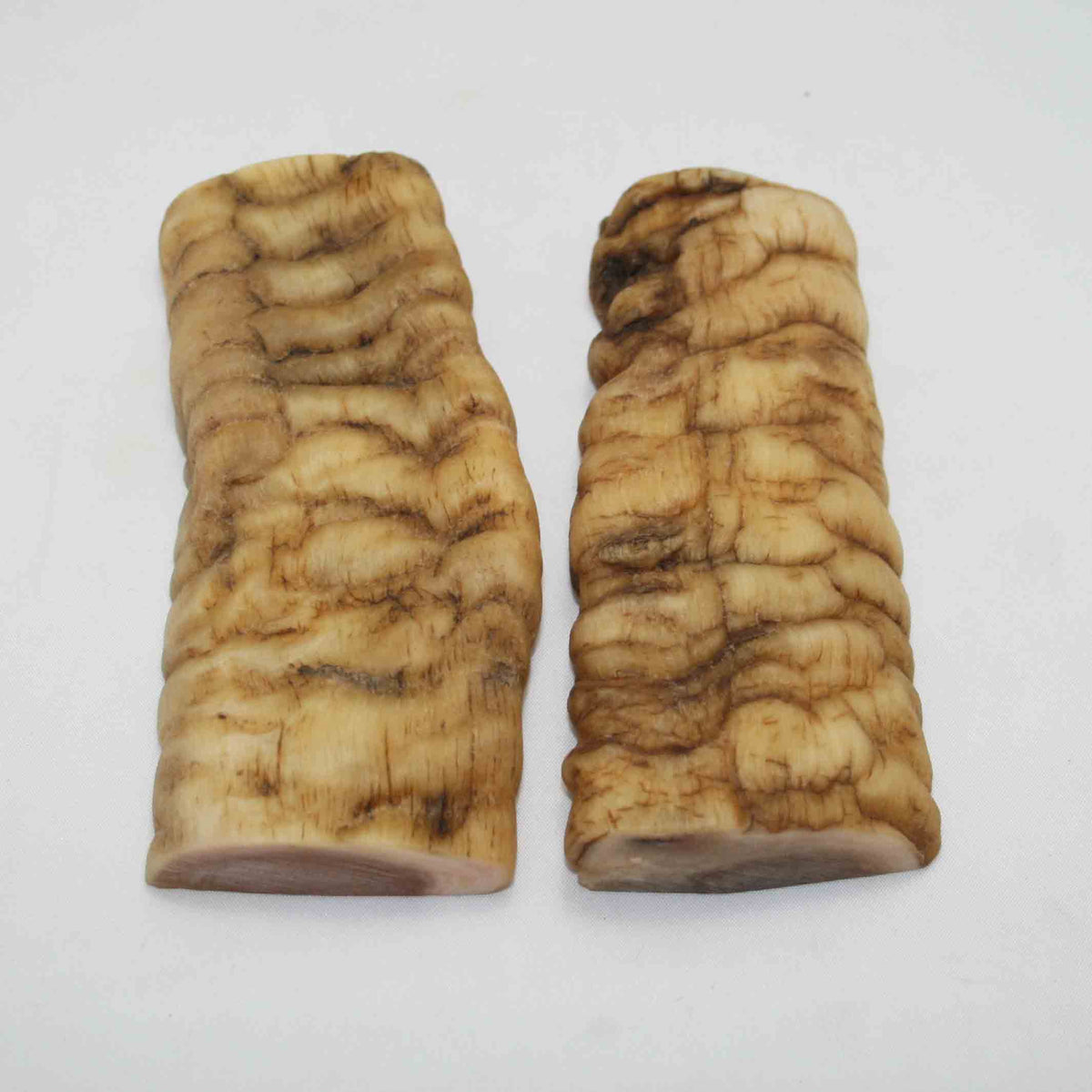 NB901NAM28 Merino Ram&#39;s Horn Flat Block Scales