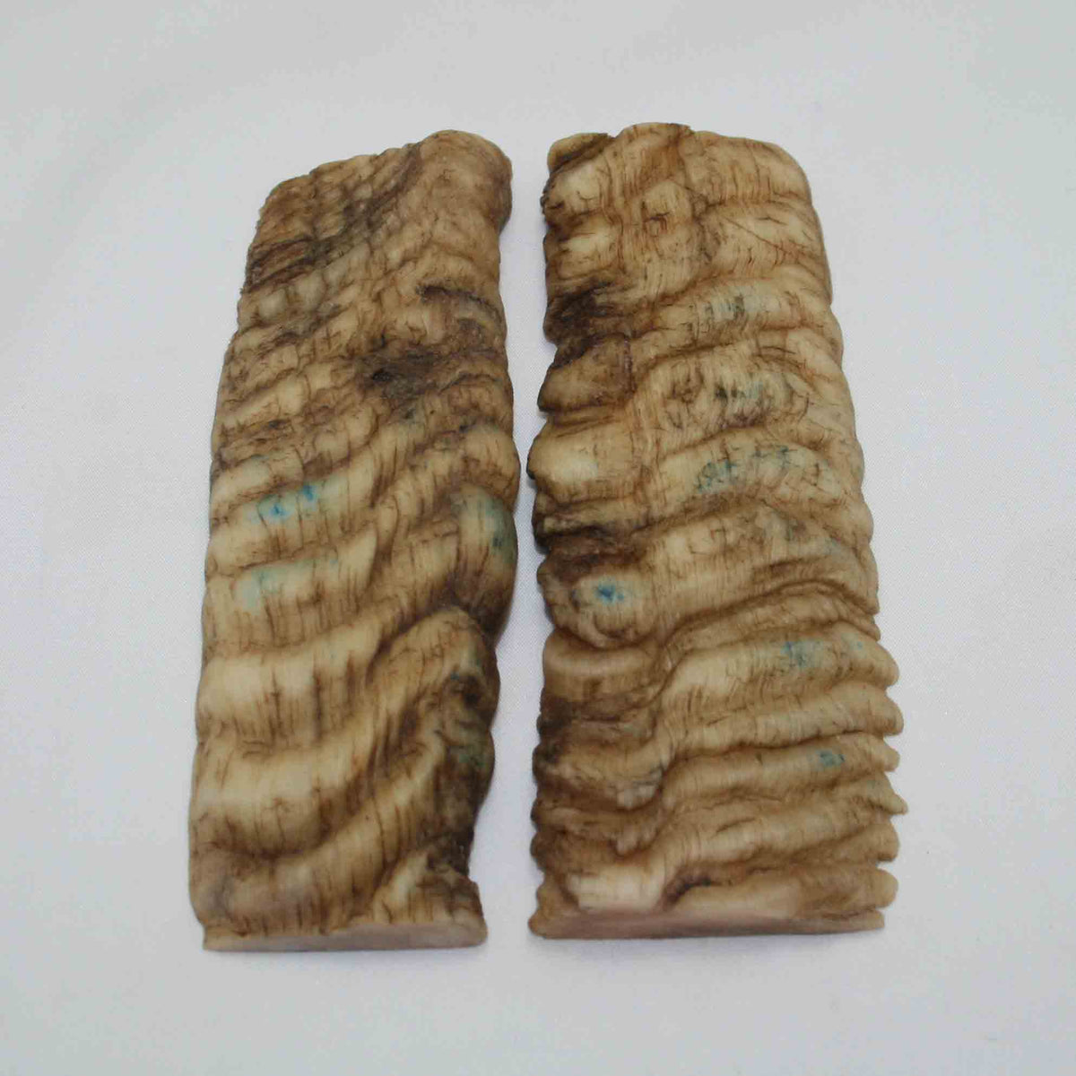 NB901NAM2 Merino Ram&#39;s Horn Flat Block Scales