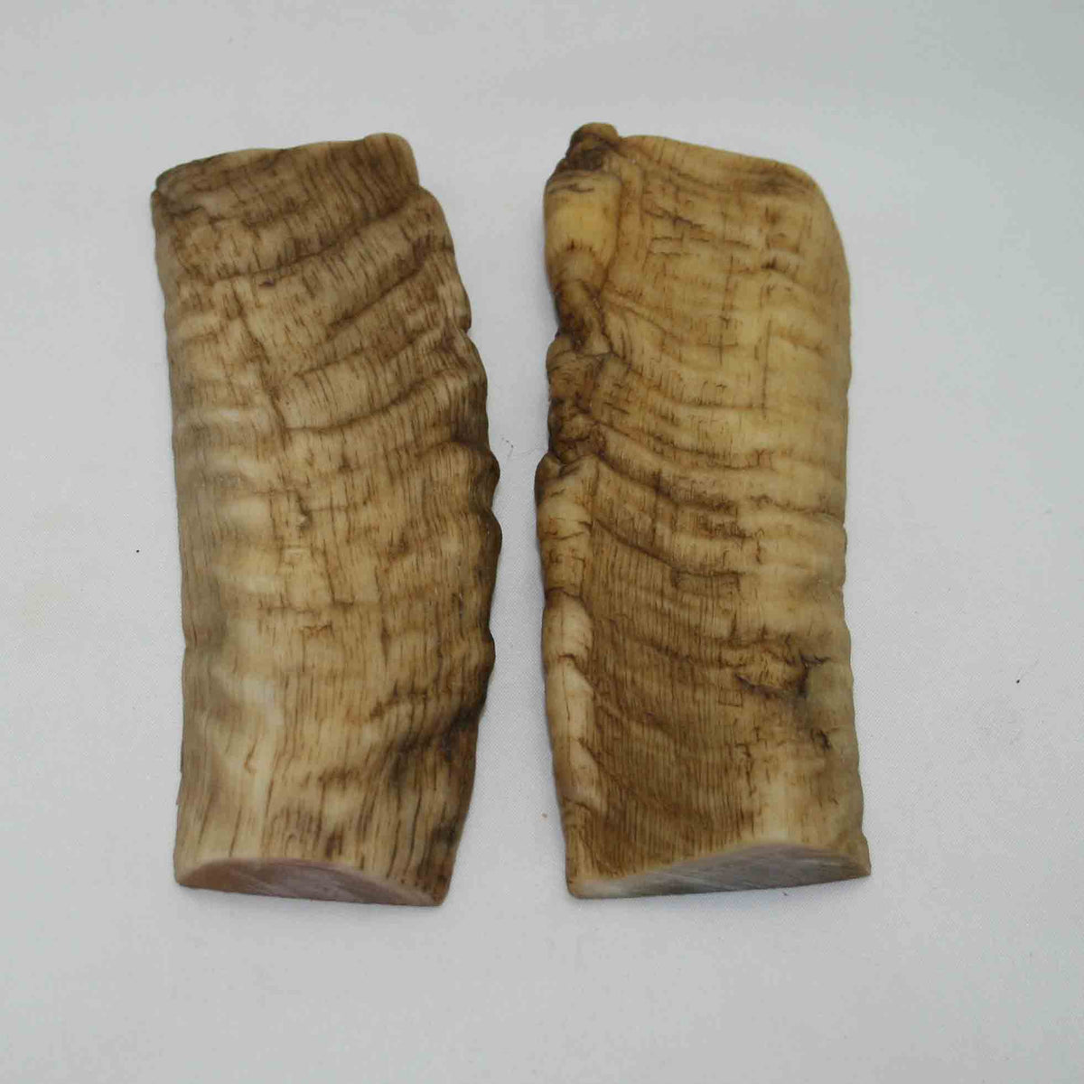 NB901NAM37 Merino Ram&#39;s Horn Flat Block Scales