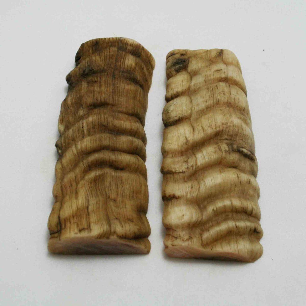 NB901NAM39 Merino Ram&#39;s Horn Flat Block Scales